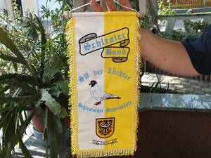 DSCF1067.JPG