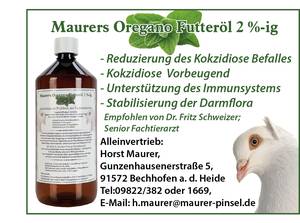 Taubeninterat2_gross.jpg